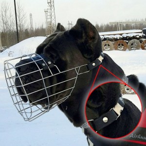 Быстросъёмная пряжка для намордника